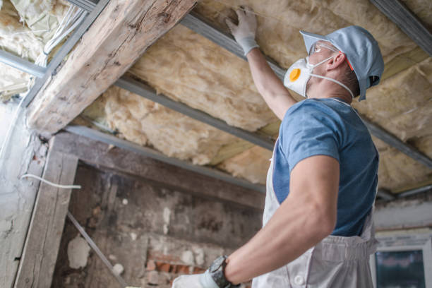 Trusted HI Insulation Contractor Experts